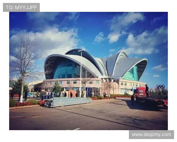 成都网球队在联合会杯中的拼搏历程与荣耀时刻全景回顾